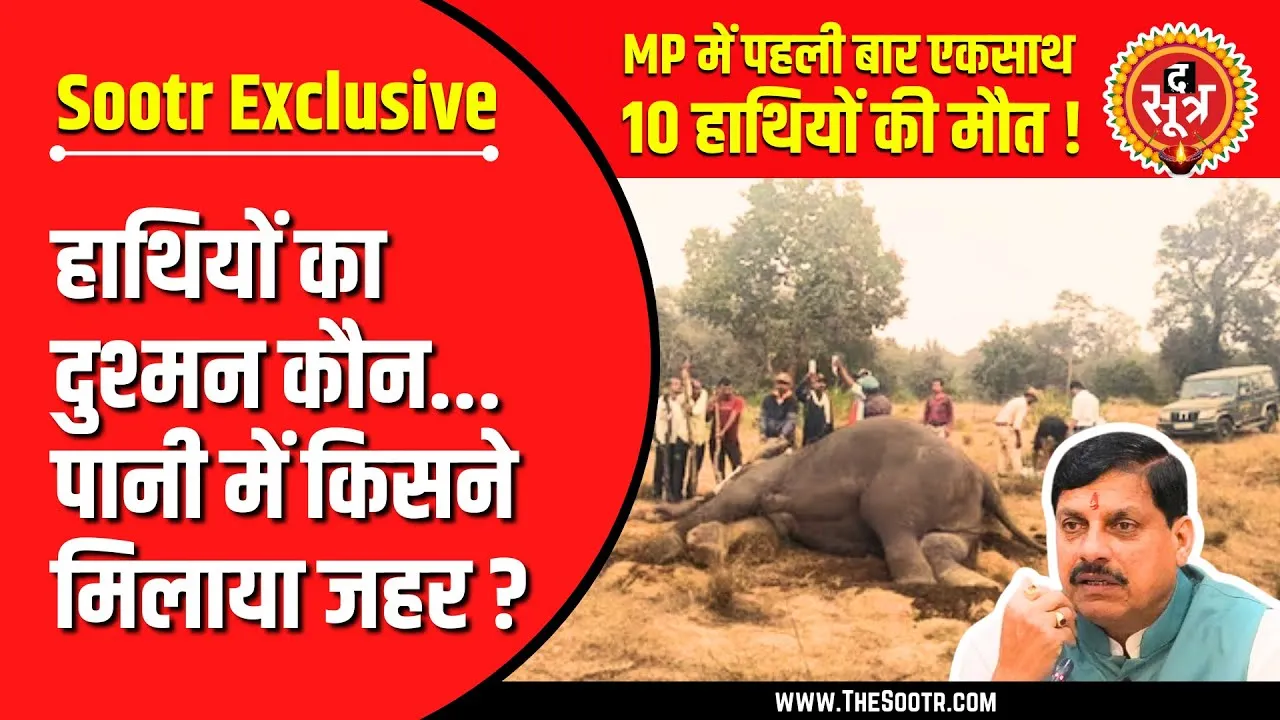 The Sootr Exclusive | सामने आई Bandhavgarh Tiger Reserve में 10 हाथियों की मौत की असली वजह !