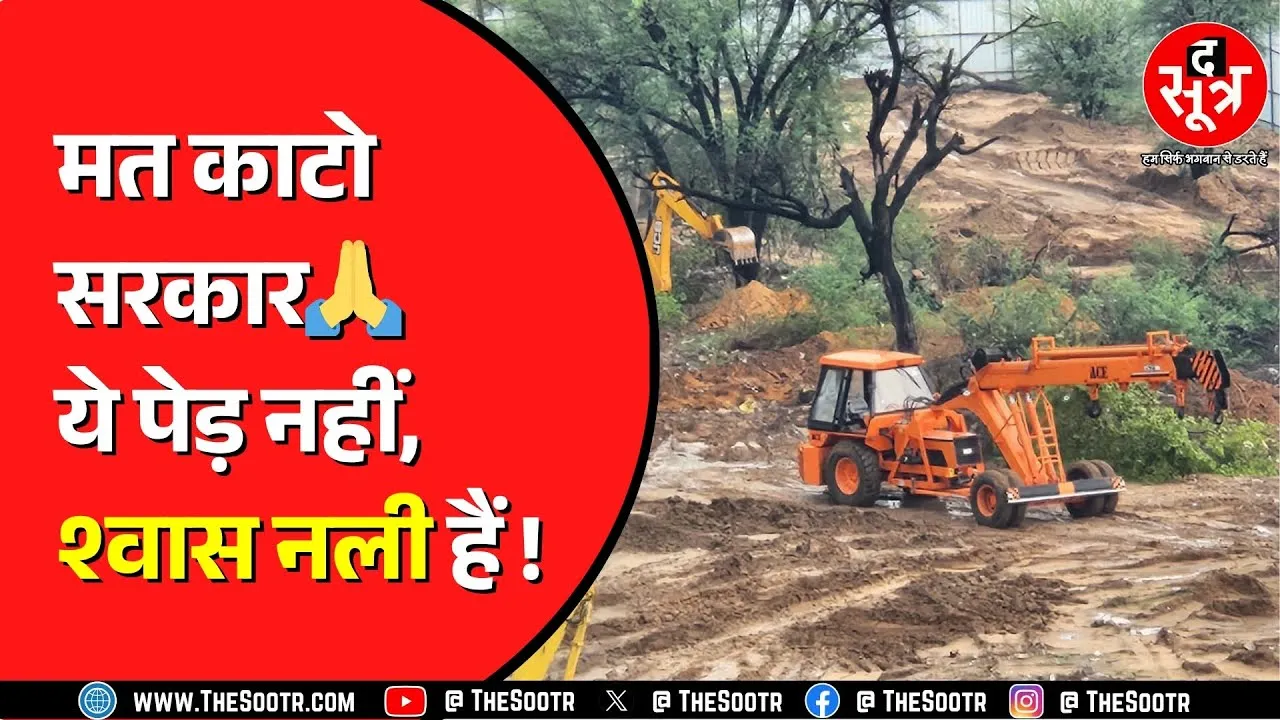 2500 पेड़ों पर कुल्हाड़ी चलवा रही Rajasthan सरकार ? बनाना चाहती है फिनटेक पार्क