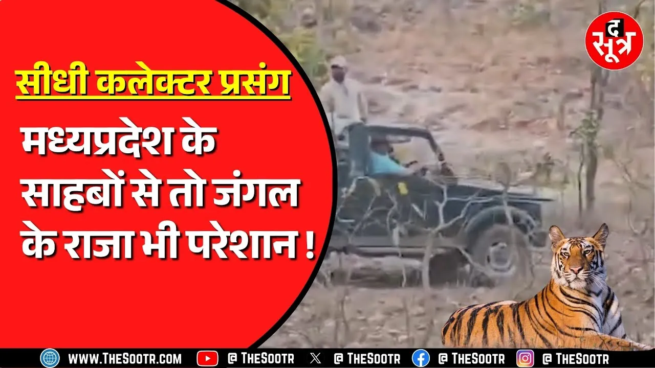 Madhya Pradesh में कलेक्टर साहब को पसंद है टाइगर को पास से देखना ! इस बार मच गया बवाल