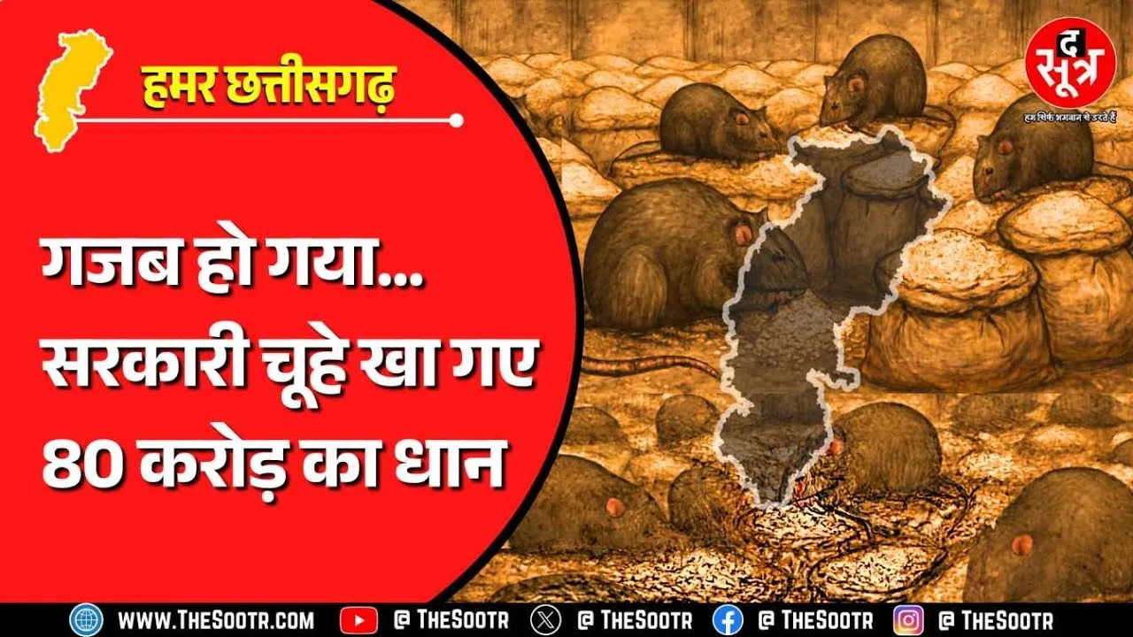 CG News | 10 जिलों में सरकारी चूहे खा गए ढाई लाख क्विंटल धान, सरकार खुद रह गई हैरान