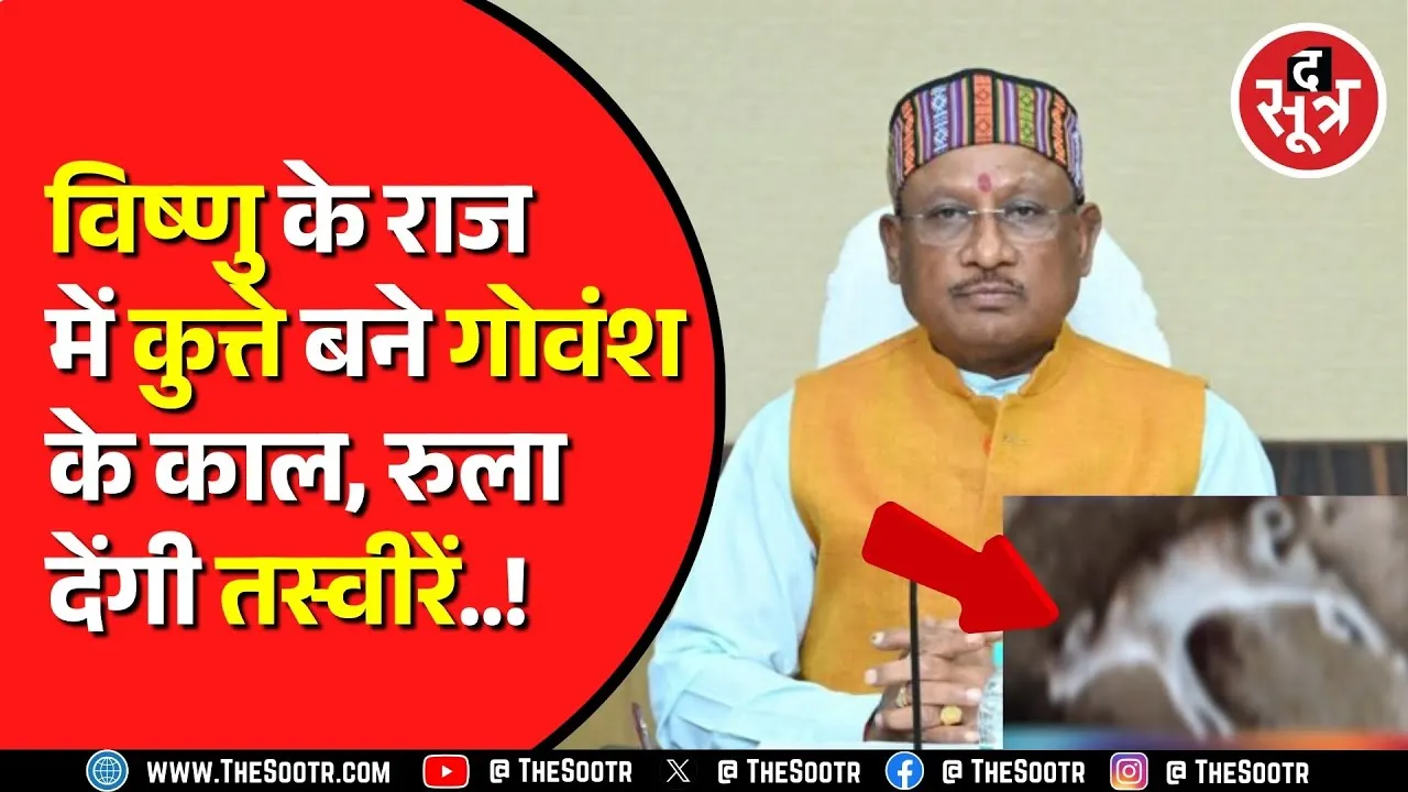 BJP सरकार का गौप्रेम सिर्फ ढोंग, खुल गई पोल; कुत्ते खुलेआम कर रहे गोवंश का शिकार | Chhattisgarh