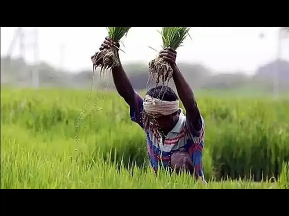 सशक्त किसान: खेती में जबरदस्त बूस्टअप, हर सेक्टर में आगे बढ़ रहा मध्यप्रदेश