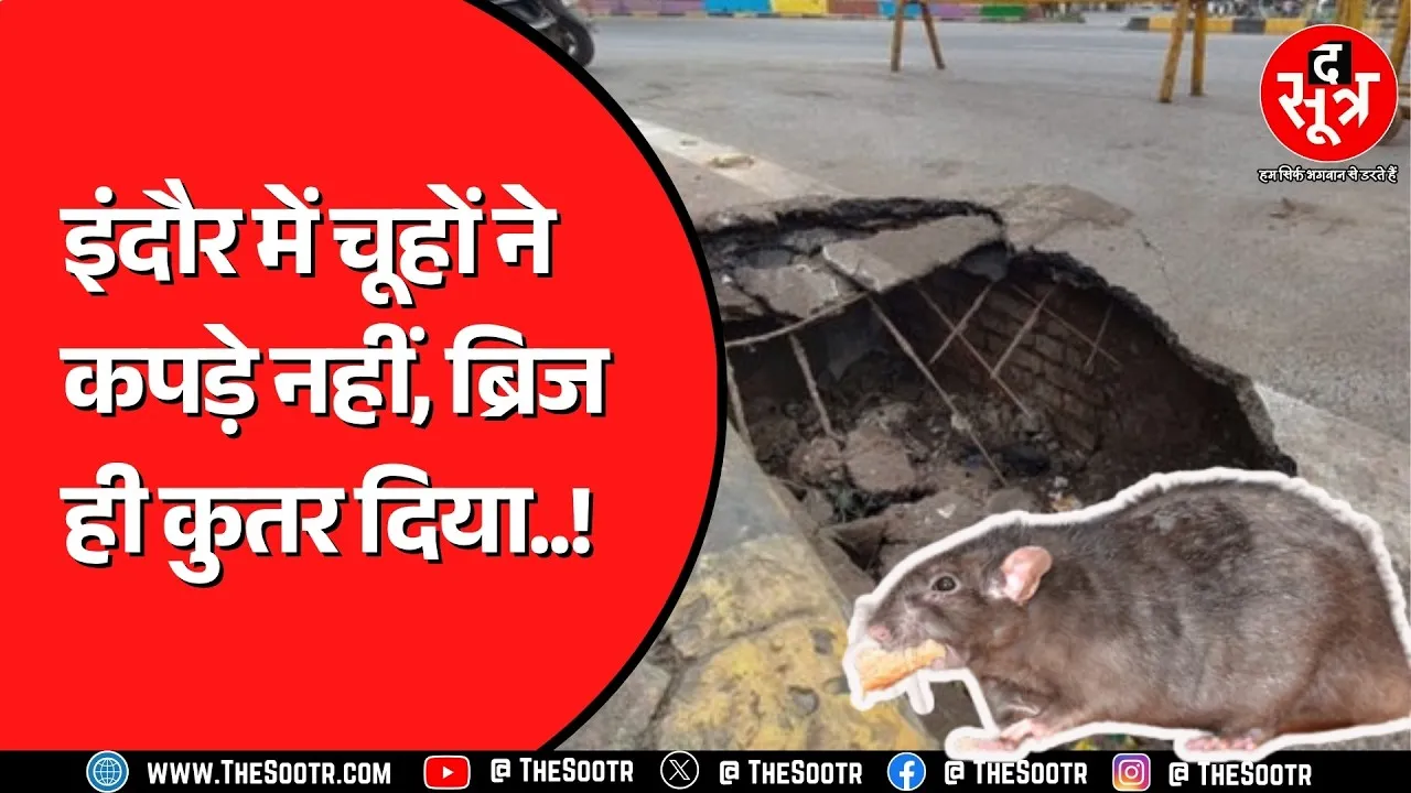 Indore में नया चूहा कांड, कुतर डाला शास्त्री ब्रिज, आरोप खाना बांटने वालों पर लगा