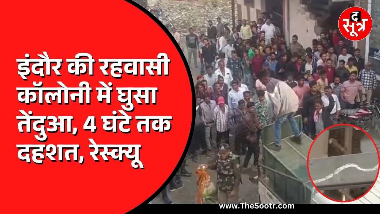 MP News | इंदौर में छत से तेंदुए ने अचानक लगाई छलांग, बेहोश कर वन विभाग की टीम ने किया रेस्क्यू