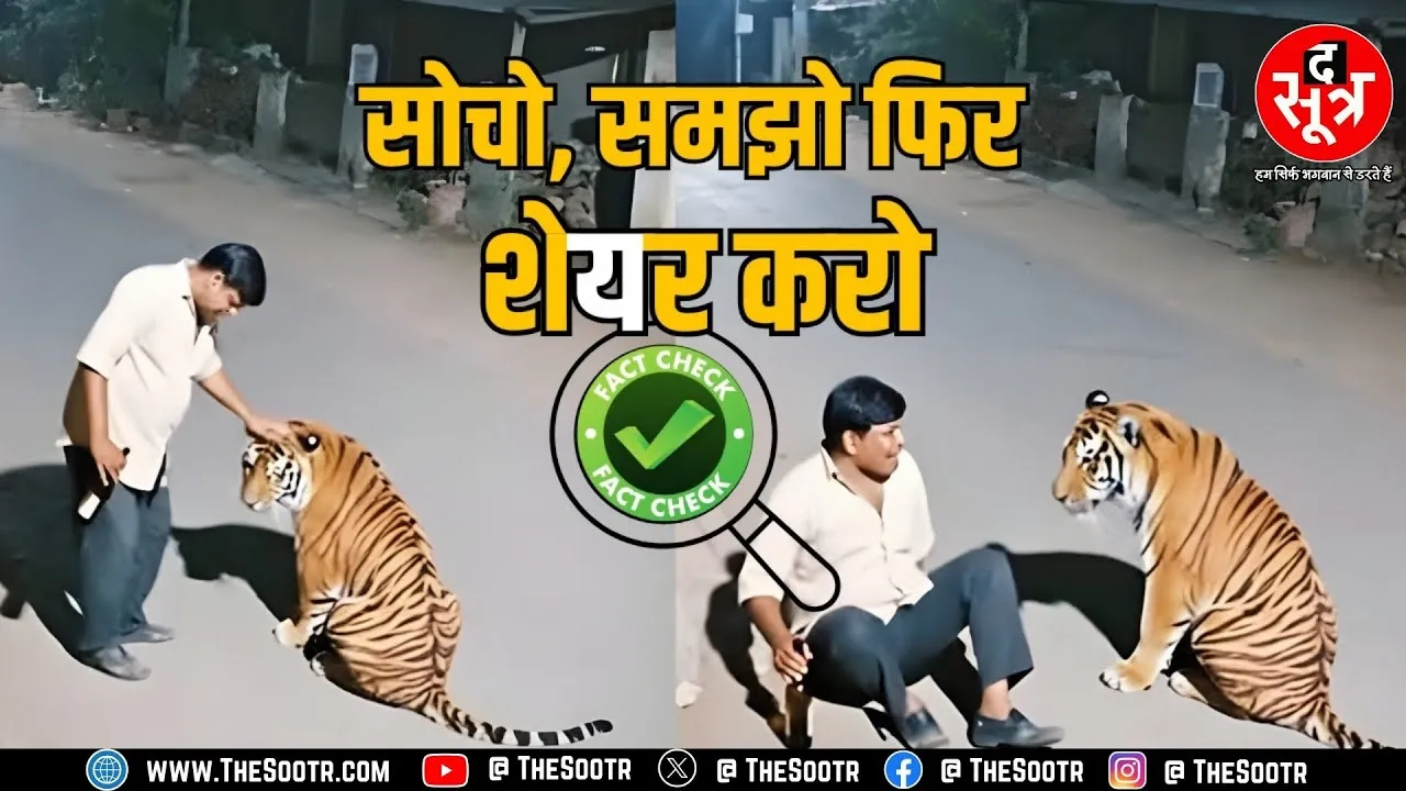 MP News | बाघ का सिर सहलाया, शराब ऑफर की; Viral Video की सच्चाई जानकर उड़ जाएंगे होश | Fact Check