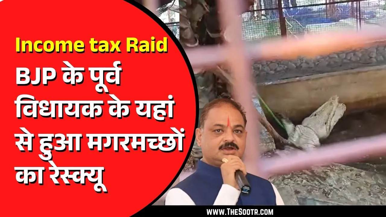 MP News | सागर जिले के पूर्व विधायक के यहां से मगरमच्छों का रेस्क्यू, देखें वीडियो सिर्फ द सूत्र पर