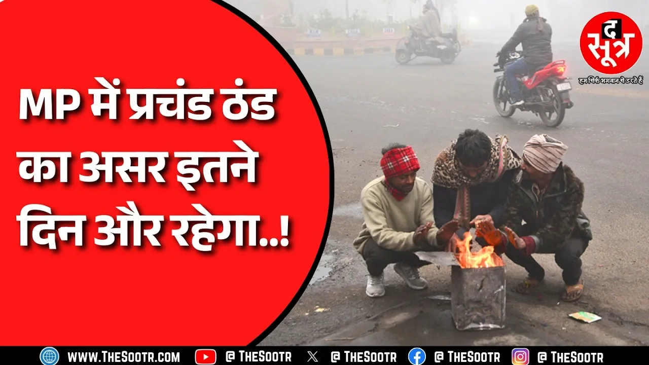 Madhya Pradesh में घने कोहरे और शीतलहर का असर जारी, 20 मीटर दूर देखना भी मुश्किल !