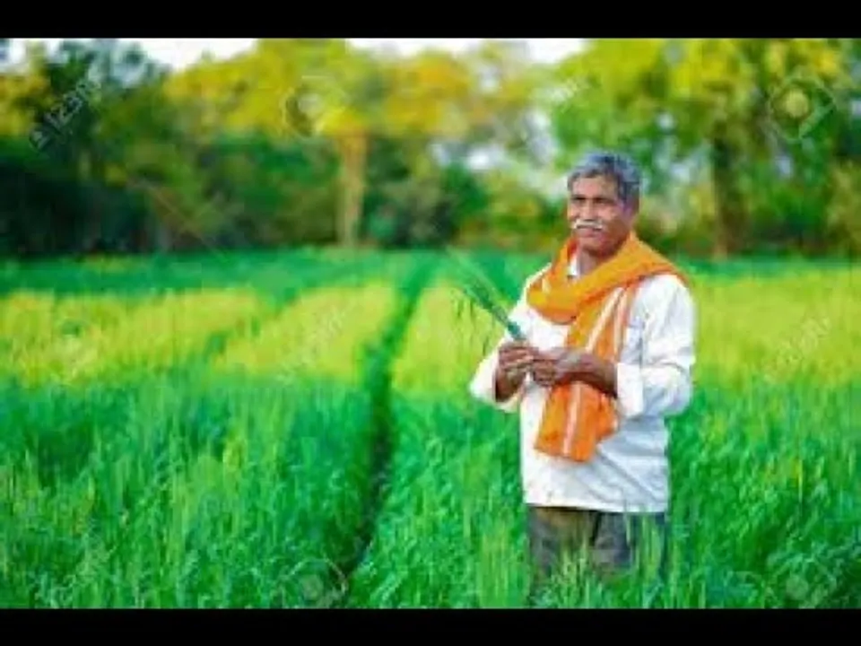 खेती-किसानी : कृषि और खाद्य प्रसंस्करण के क्षेत्र में नई ऊंचाइयों को छू रहा है mp