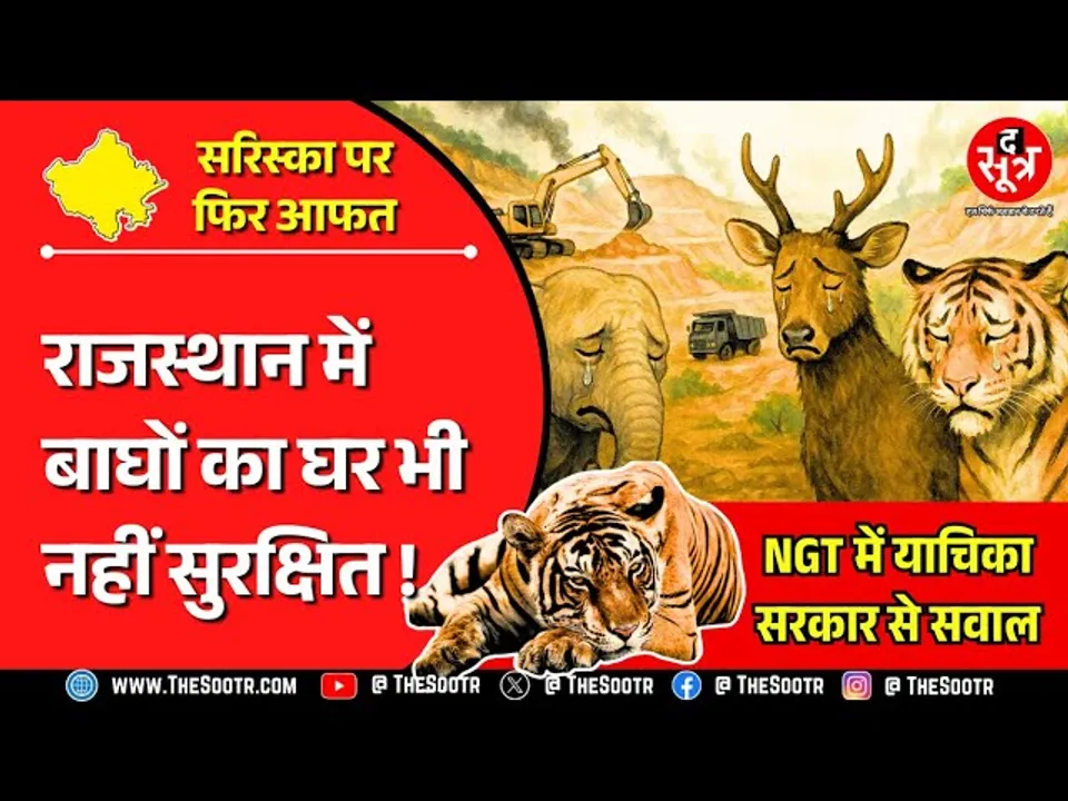 The Sootr Exclusive | खनन कंपनी ने खोद डाला राजस्थान का सरिस्का रिजर्व फॉरेस्ट