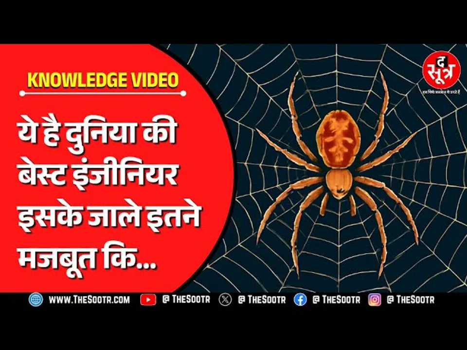 Knowledge Video | World's Best Engineer, जिसके रेशे इतने मजबूत कि हवाई जहाज भी रोक दे !