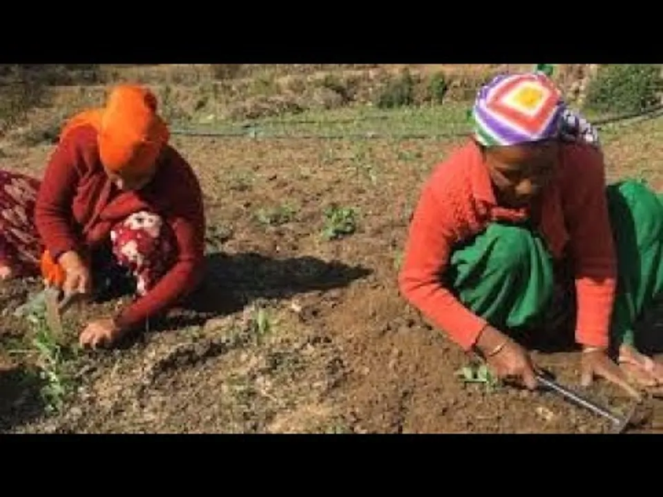 समग्र विकास: जनजातीय बाहुल्य गांवों में टिकाऊ खेती को बढ़ावा