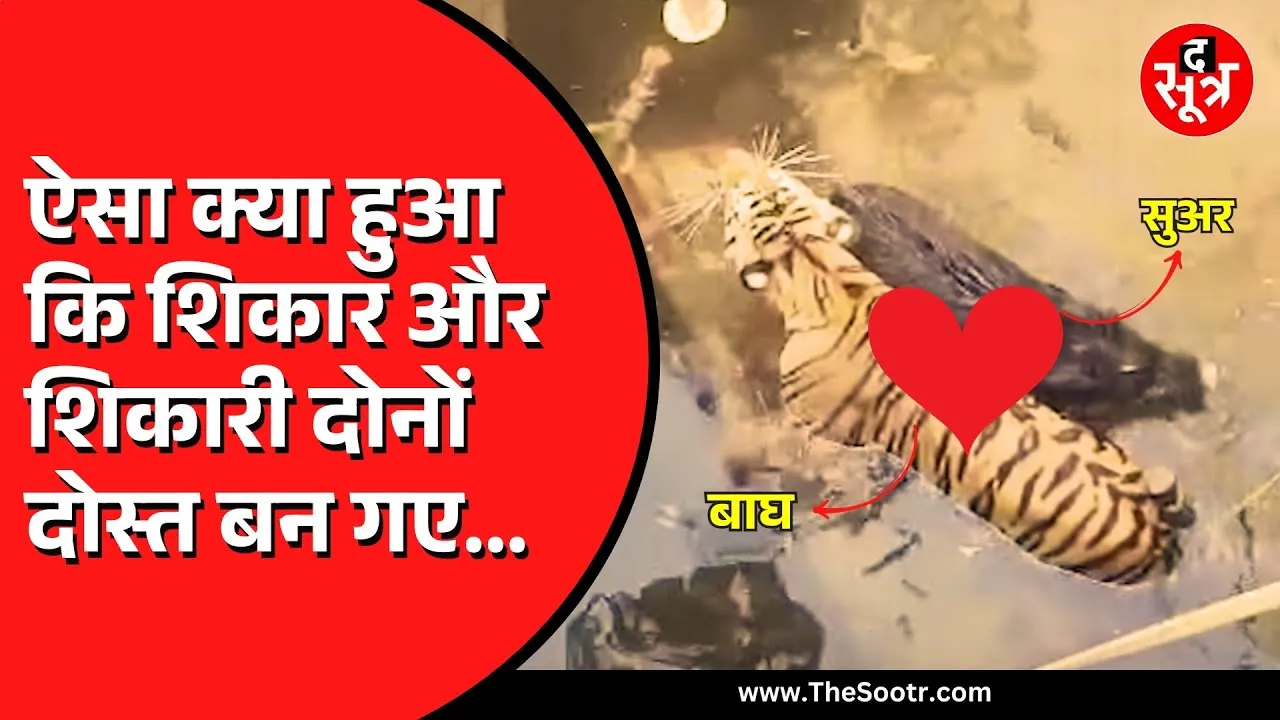 MP NEWS | जब जान पर बात आ गई, तो दो जानी दुश्मन बन बैठे दोस्त | देखें वीडियो
