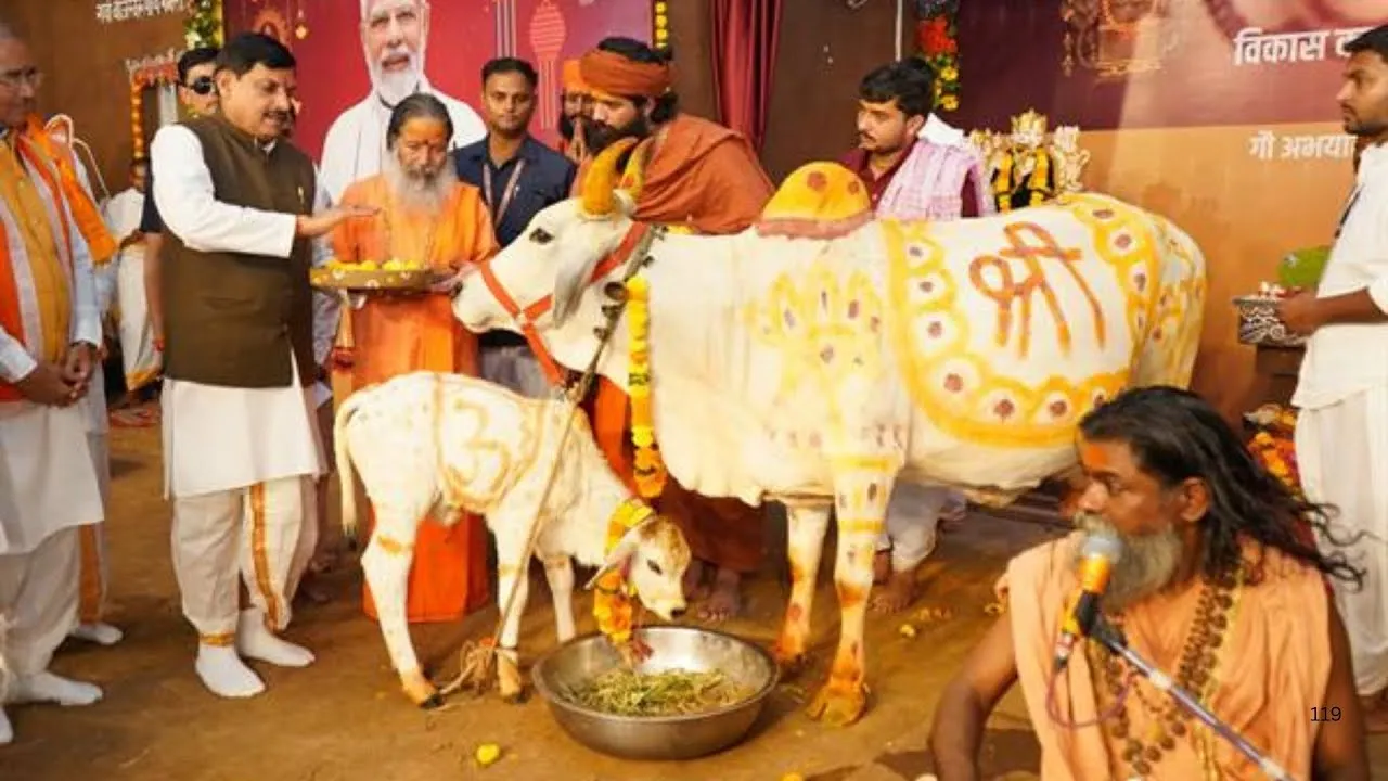 ऐतिहासिक पहल: गौशालाओं को बेहतर तरीके से चलाने में मदद करेगी मध्यप्रदेश सरकार