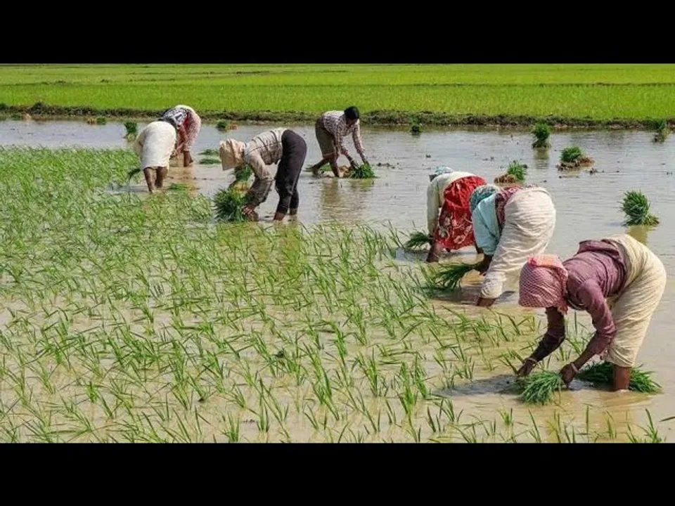 जनता का हित: मध्यप्रदेश में नवाचार, इस एक योजना से मिलेगा बड़ा फायदा