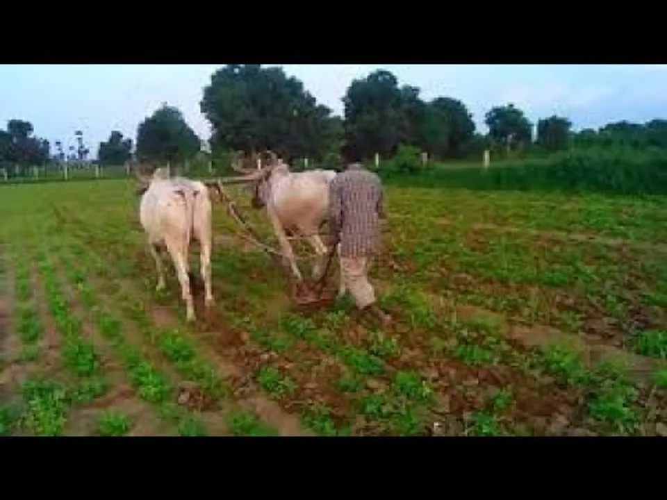 सर्वांगीण विकास: किसानों की ​चिंता... खेती से जुड़ी योजनाओं के लिए 39 हजार करोड़ का बजट