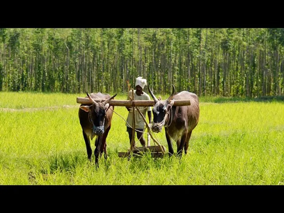 किसान कल्याण: अन्नदाताओं को बदलते वक्त की जरूरतें बताएगी सरकार, प्रदेश में लगेंगे किसान मेले