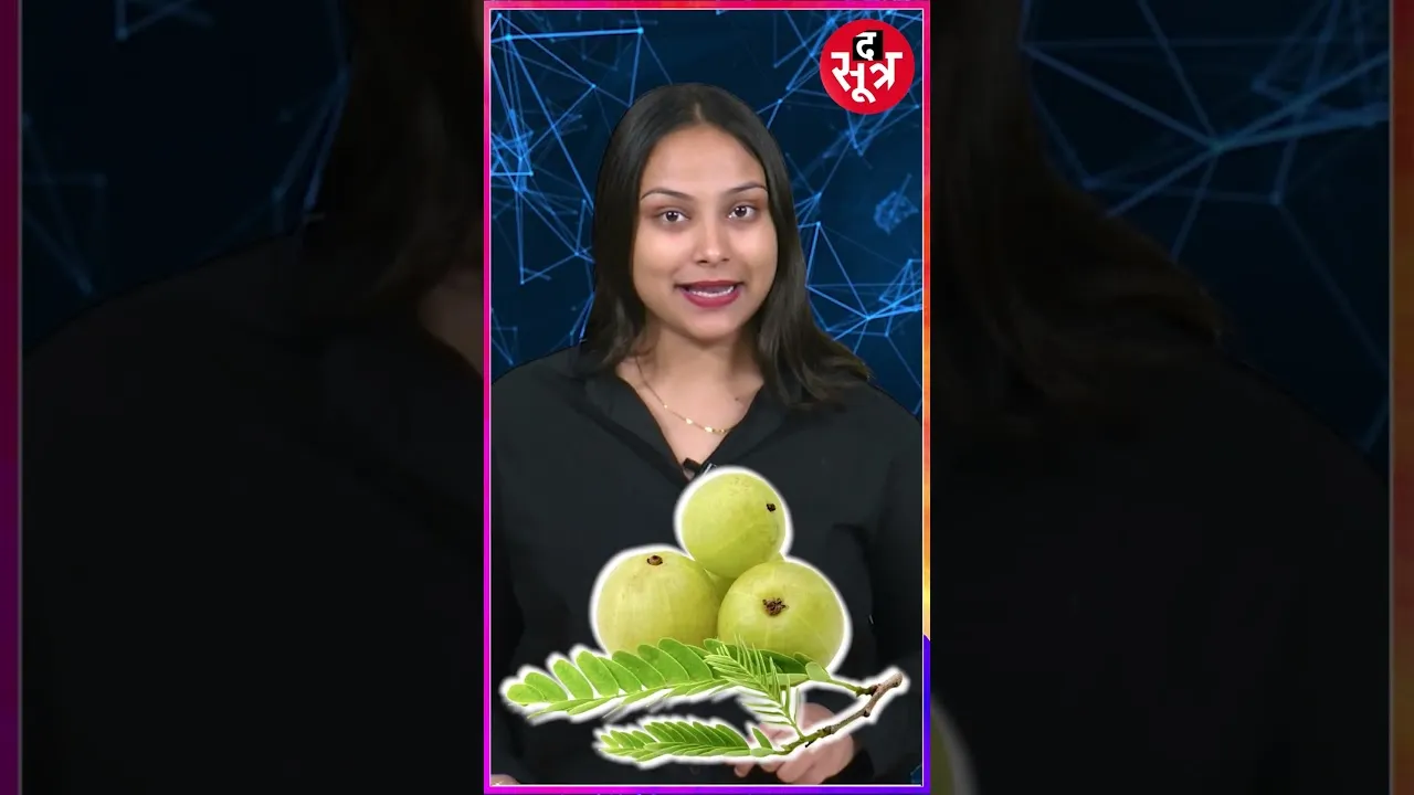 सर्दियों का superfood  आंवला