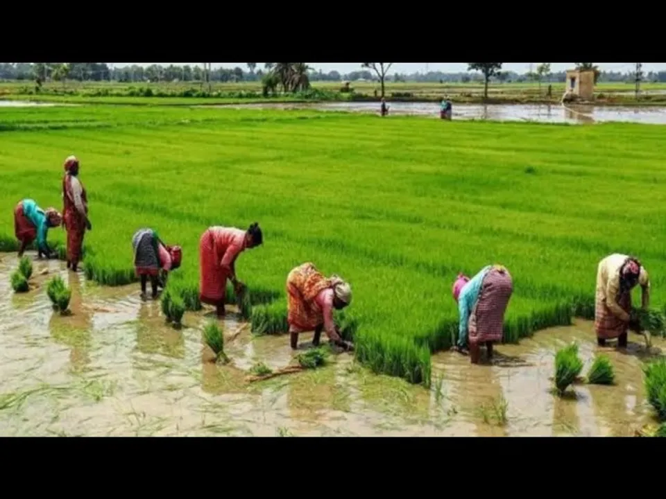 किसान कल्याण: खेती-किसानी को आगे बढ़ाने के लिए नए तरीके अपना रही मध्यप्रदेश सरकार