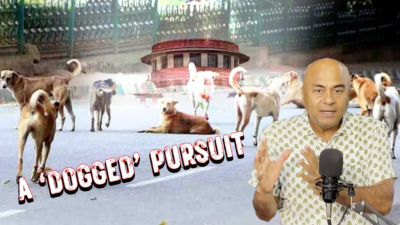 Stray dogs Supreme Court order India