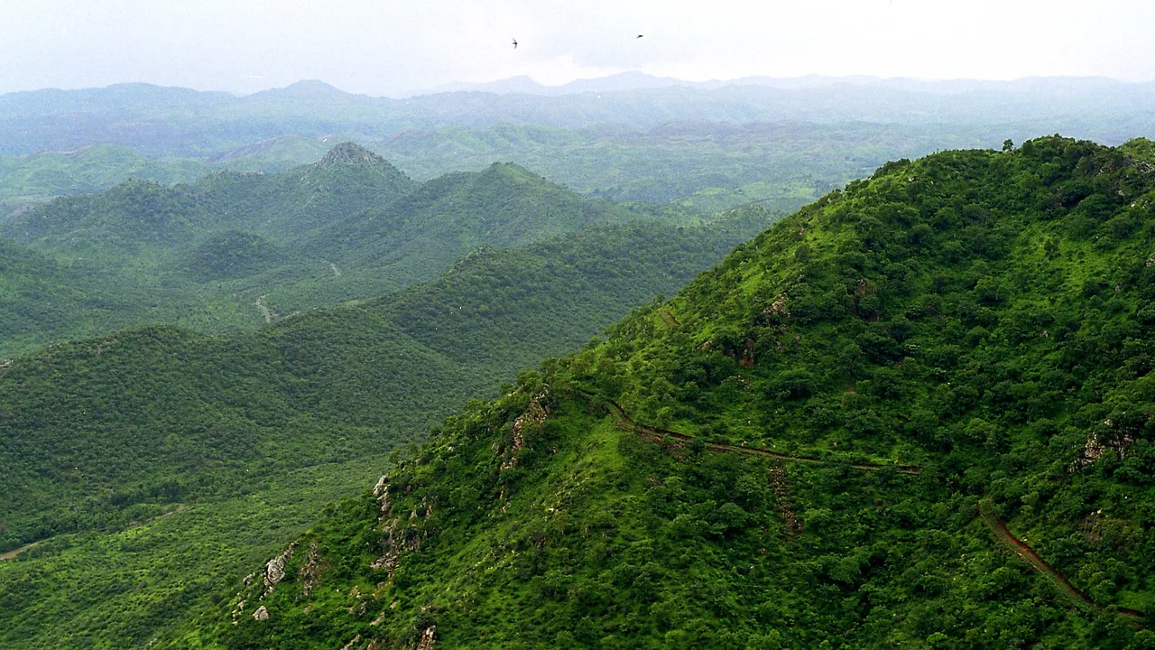 Aravalli hills