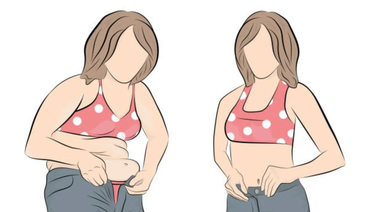 belly fatbelly fat clipart.jpg.jpg