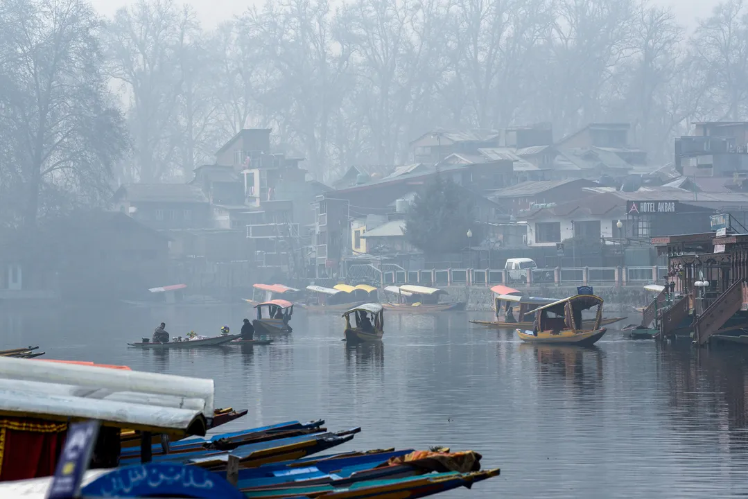  Photograph: (google) 