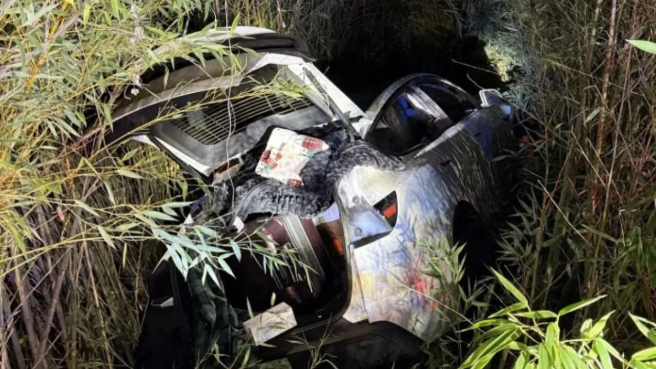  टेस्ला कार और शराब की दुकान में आग लगाने की कोशिश  Photograph: (google) 