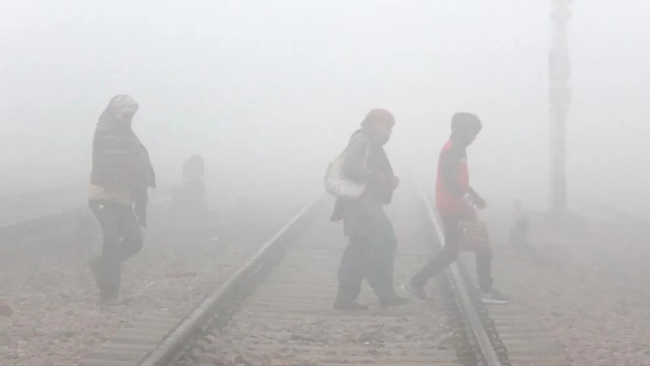  राजस्थान-MP में कड़ाके की ठंड     Photograph: (google) 