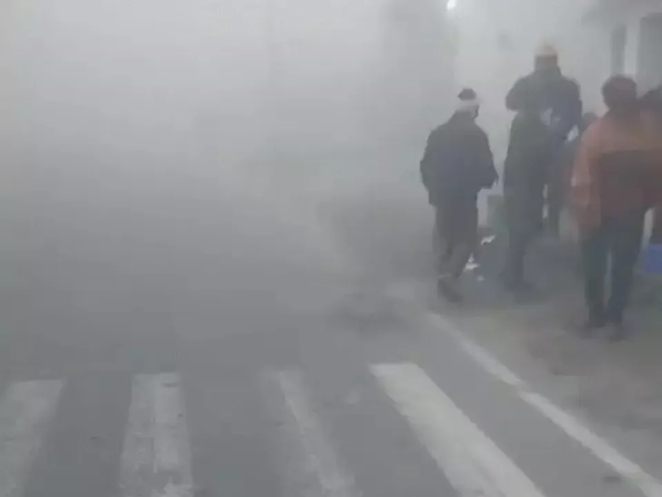  मप्र-यूपी में भीषण कोहरा: 50 मीटर दृश्यता, 4 दिन में 110 वाहन टकराए, 15 मौतें 