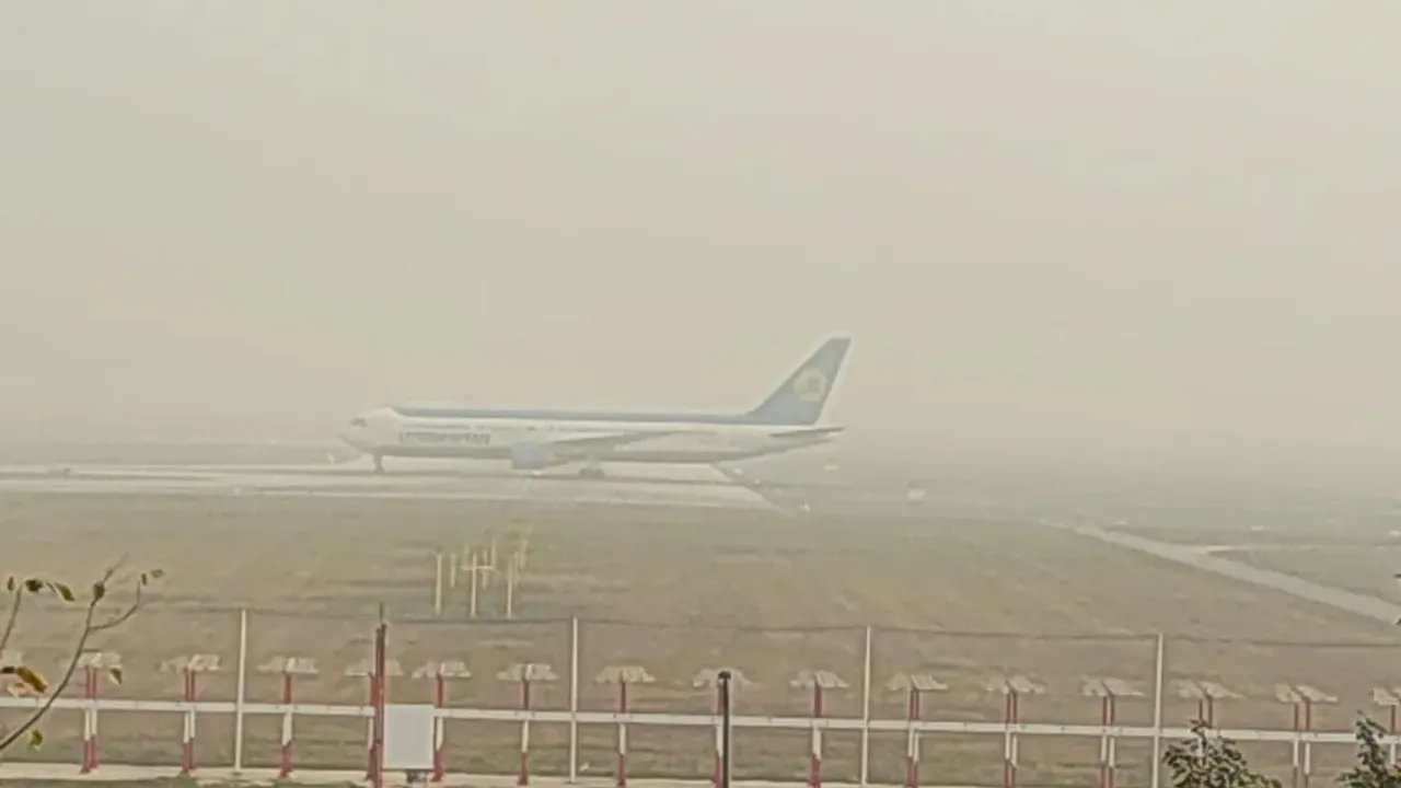  घने कोहरे के कारण प्रतिदिन कई उड़ानें प्रभावित हो रही हैं।  Photograph: (google) 