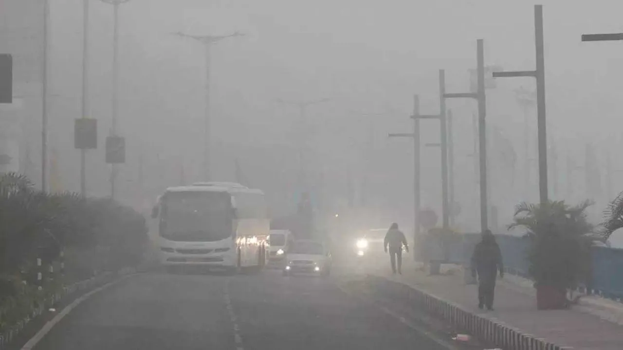  मप्र में बर्फ, बिहार में कोल्ड-डे: दिल्ली में 118 फ्लाइट रद्द, ठंड से जनजीवन अस्त-व्यस्त 