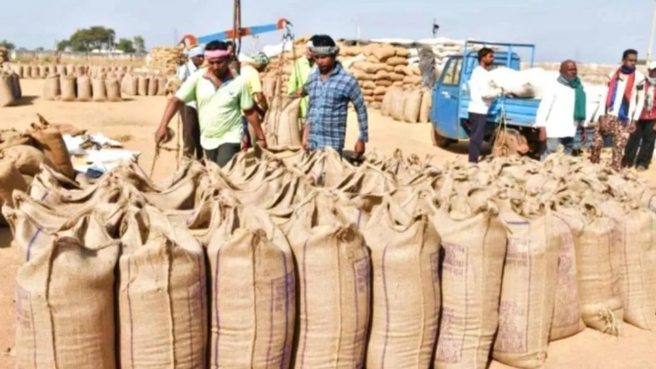  खराब भंडारण व्यवस्था के कारण खरीफ 2024-25 की फसल बर्बाद, जांच के आदेश जारी।  Photograph: (google) 