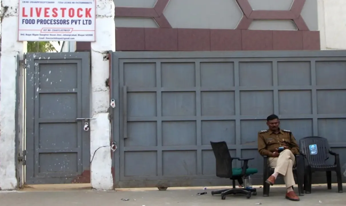  भोपाल में 26 टन प्रतिबंधित गोमांस का मामला, एसआईटी ने शुरू की जांच