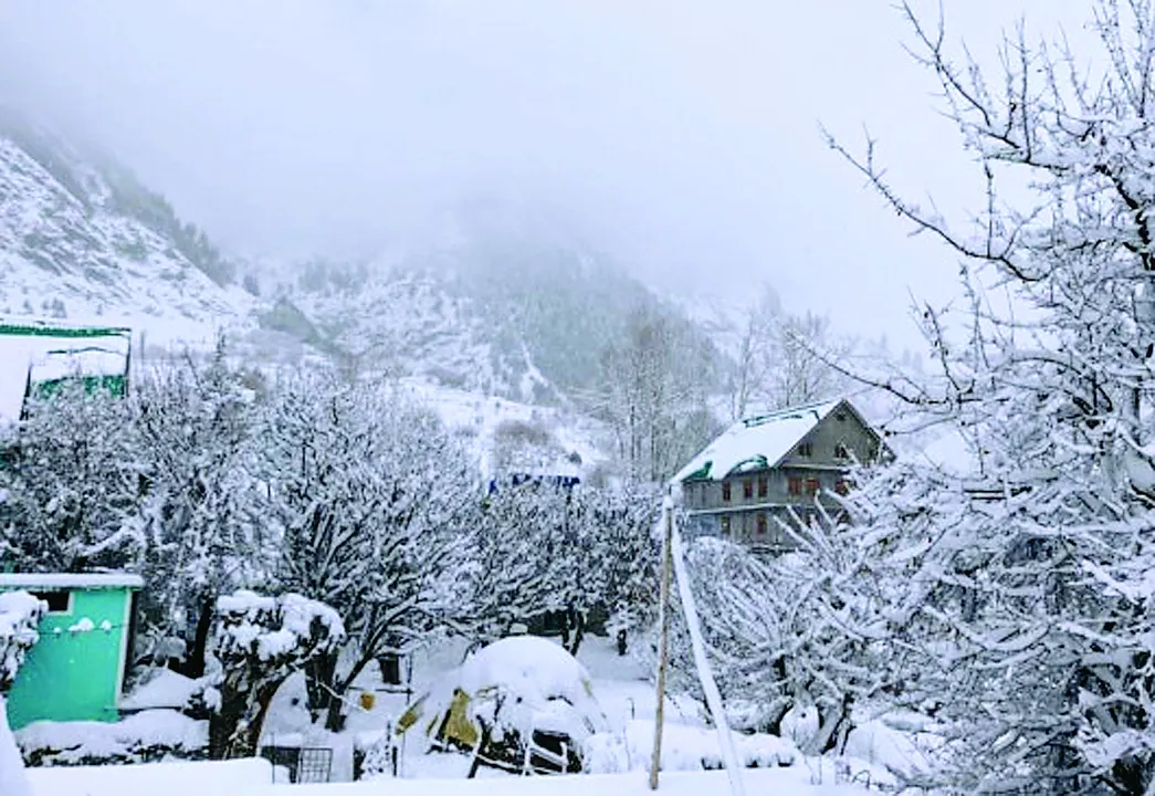 Ladakh snowfall