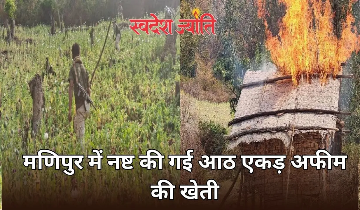  मणिपुर में नष्ट की गई आठ एकड़ अफीम की खेती