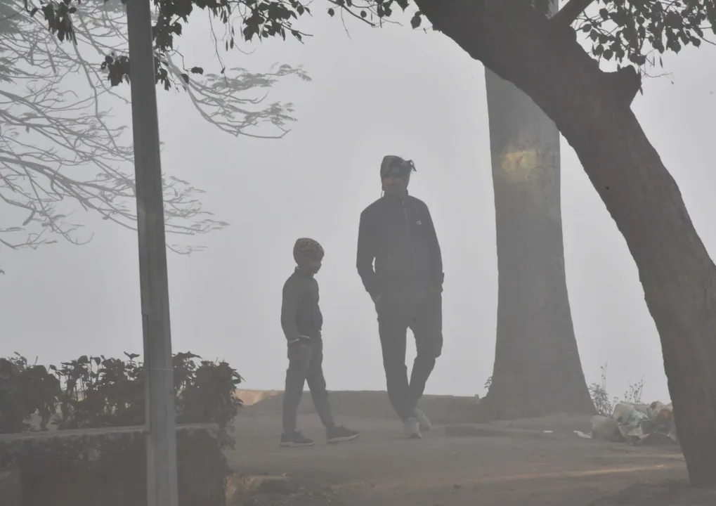  मध्यप्रदेश में कड़ाके की ठंड: अगले 3 दिन शीतलहर और ठंड का कहर, तापमान में भारी गिरावट 