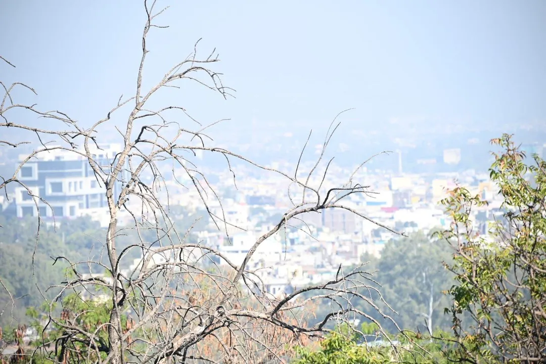  सर्दी का कहर: 15+ राज्यों में जनजीवन प्रभावित, स्कूल बंद और यातायात बाधित"। 