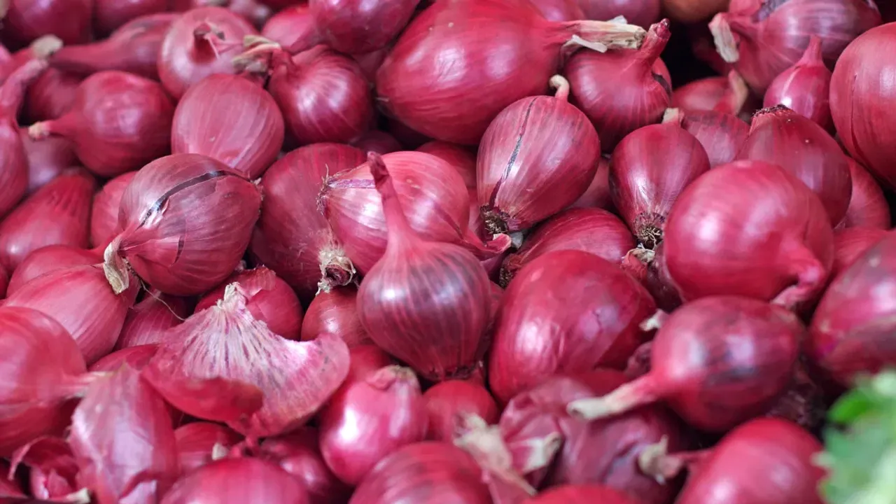  onion-export-duty-removed-indian-farmers-benefit 