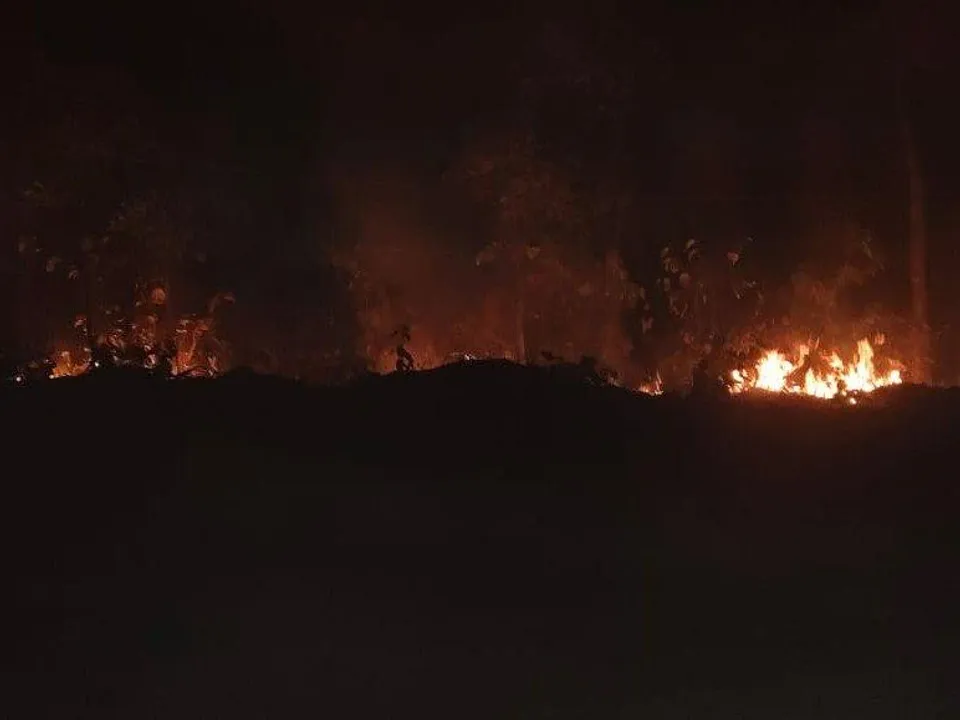  umaria-forest-fire-2025 