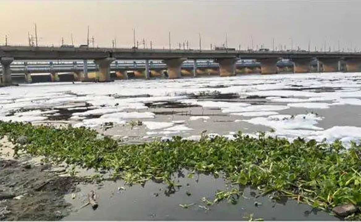  8372 करोड़ खर्च, फिर भी यमुना 'मृत नदी': दिल्ली से आता है 80% प्रदूषण, एसटीपी बनकर भी बेअसर