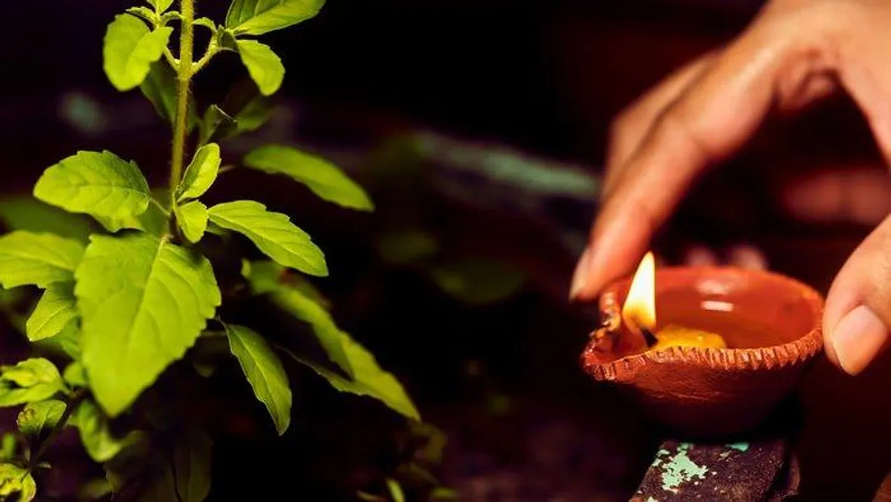  तुलसी लगाने जा रहे हैं घर में? जान लें सही दिशा, नियम और दैनिक आचरण की पूरी गाइड