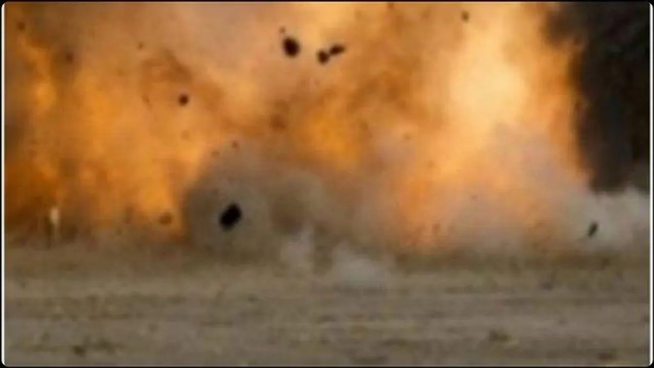  तमिलनाडु: शिवकाशी की पटाखा फैक्टरी में धमाका, पांच मजदूरों की मौत; कई घायल