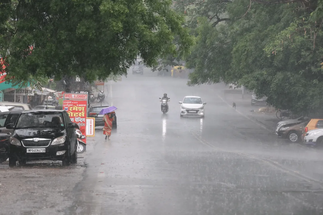   madhya-pradesh-heavy-rain-update-tikamgarh-shivpuri-flood-alert 