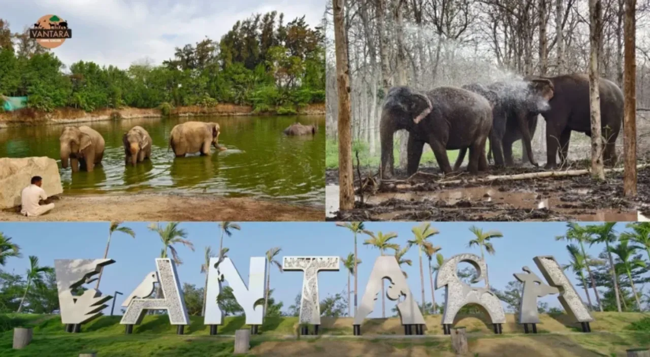  vantara-statement-supreme-court-sit-investigation 