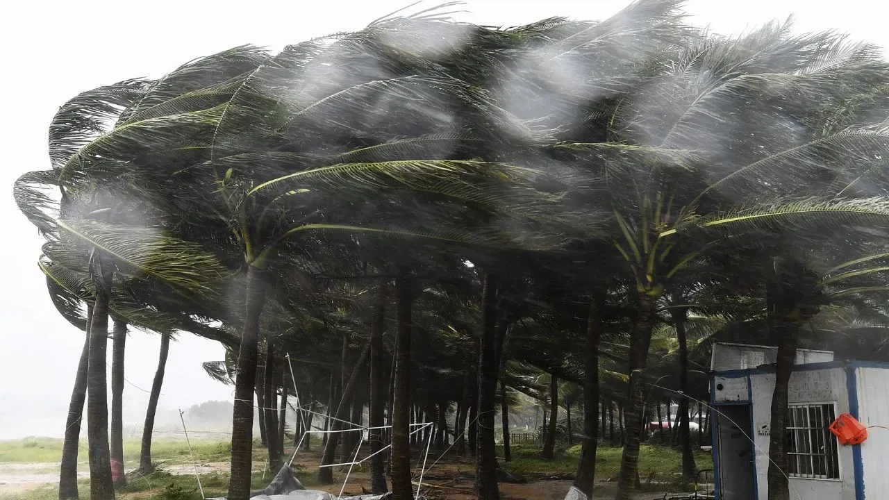   tropical-storm-tapah-china-hongkong-impact 