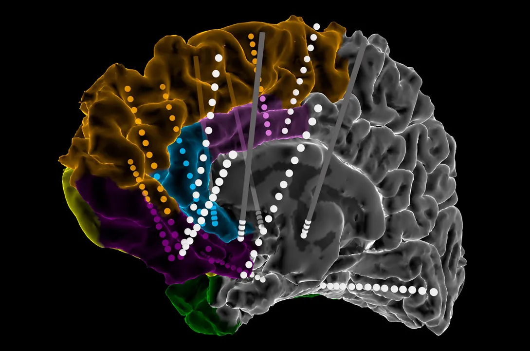  Photograph: (Science) 