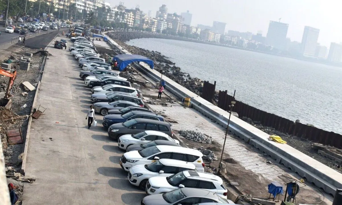  "We are not saying the poor should not buy cars, but arrangements must be made for parking," Photograph: (HT-Auto) 