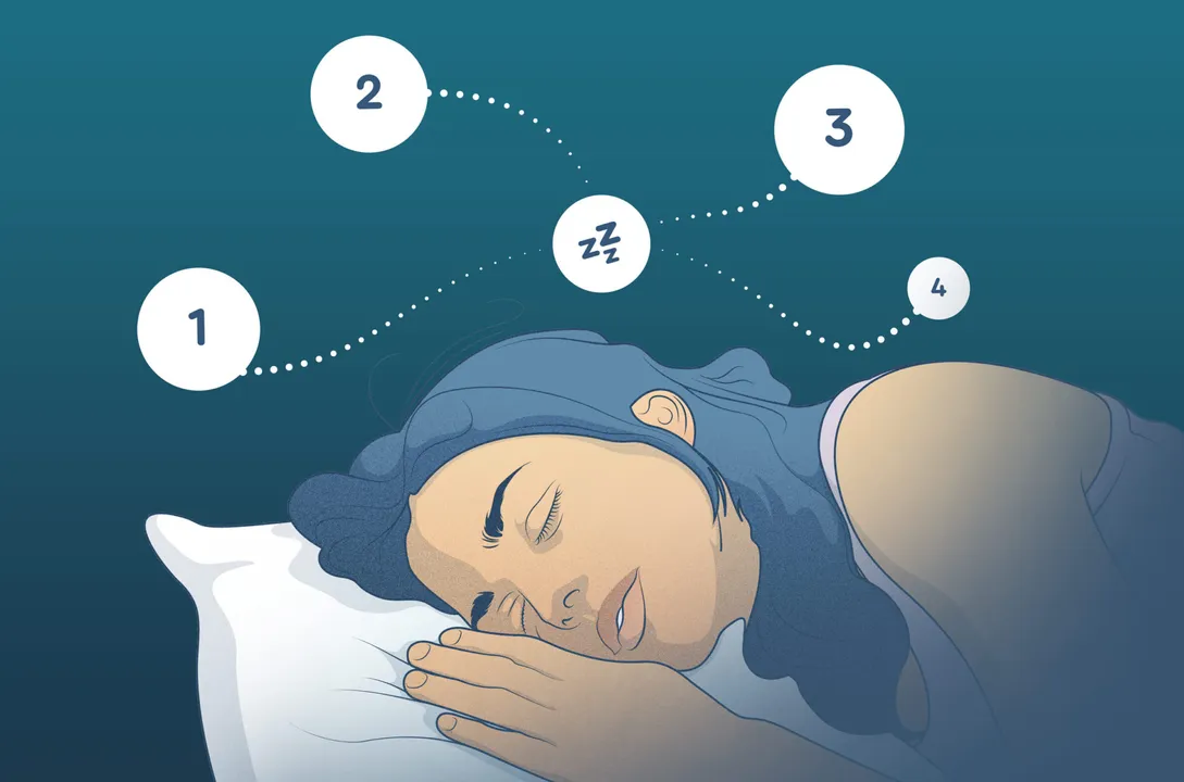  Photograph: (Sleep Cycle) 