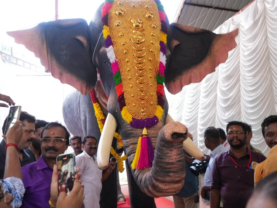  Photograph: (PETA India) 