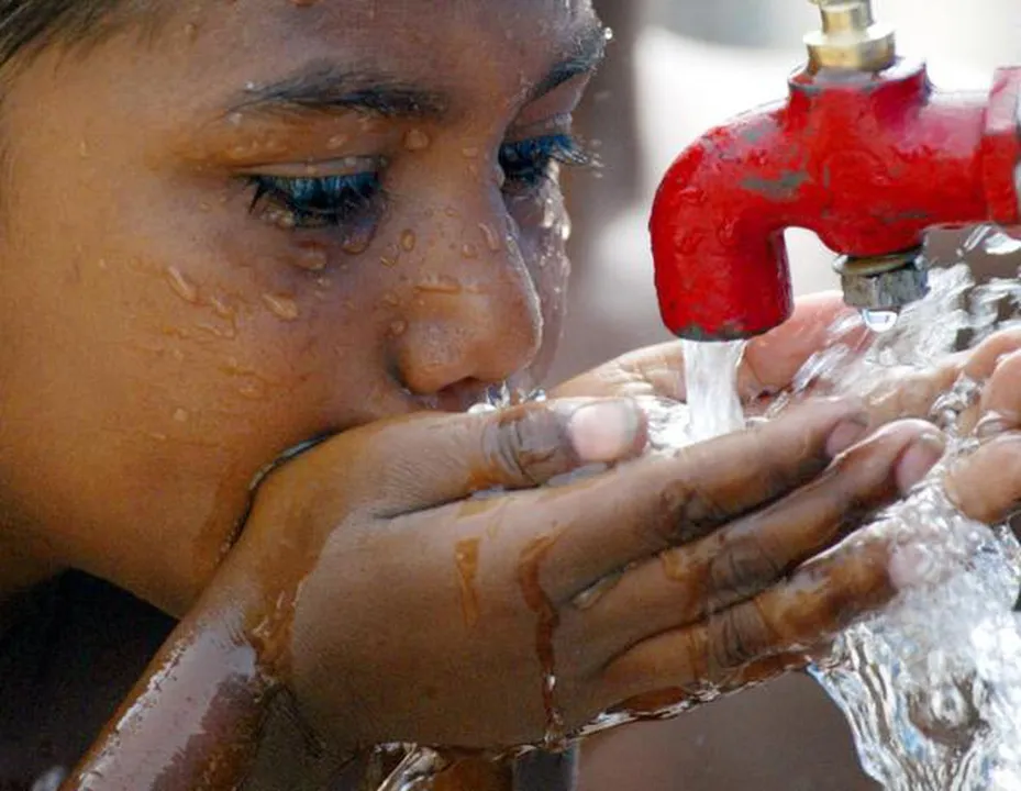  Photograph: (The Hindu) 